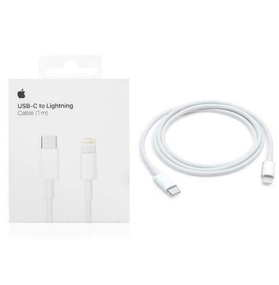 appleusbctolight